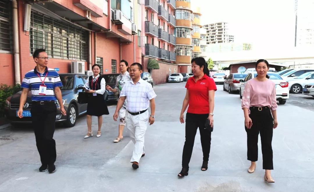 責(zé)任督學(xué)來(lái)校進(jìn)行11月督導(dǎo)，接待干部與受訪教師獲益匪淺