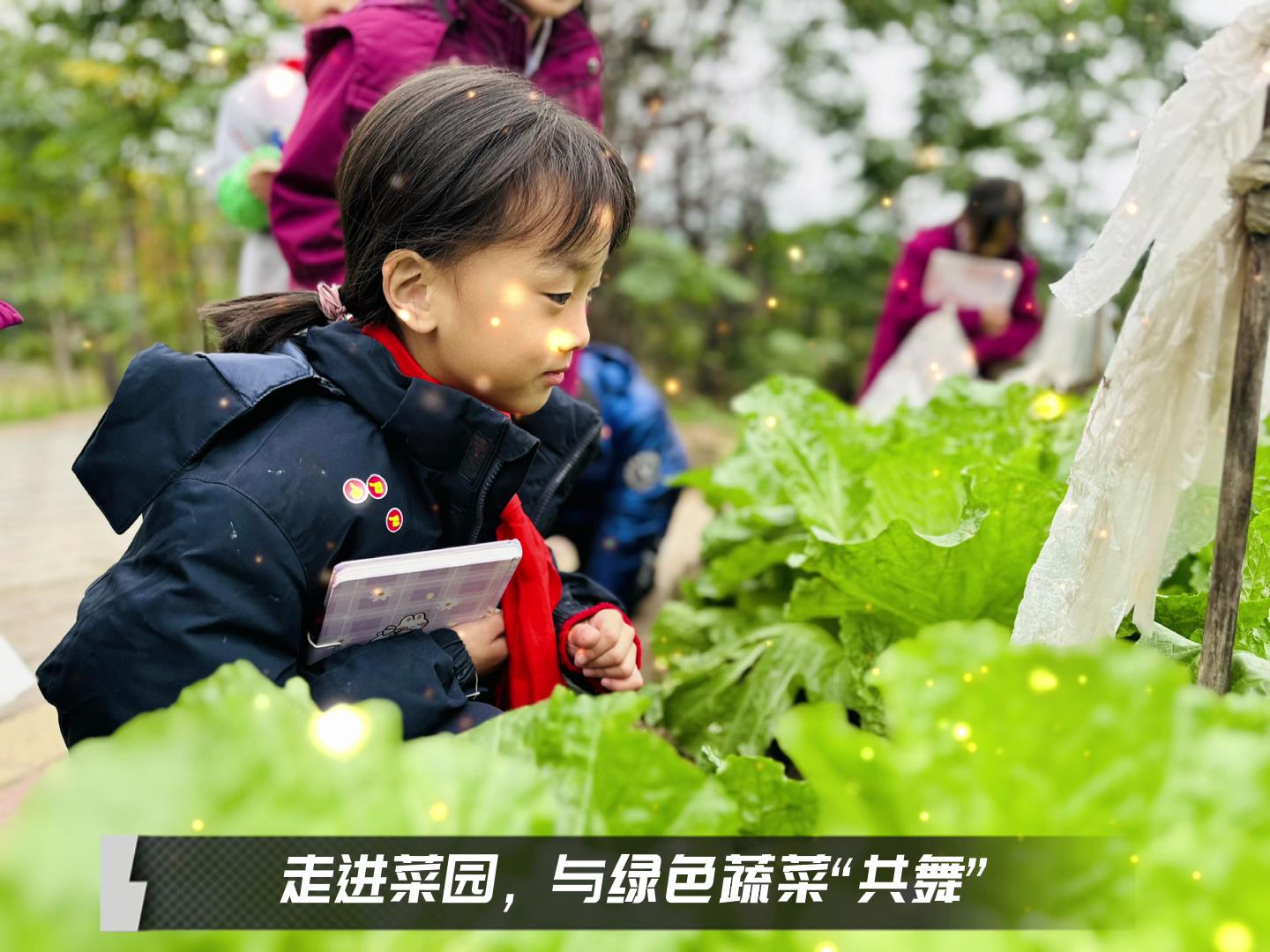 美好學(xué)校|留校時(shí)光，走出教室，與綠色蔬菜共舞