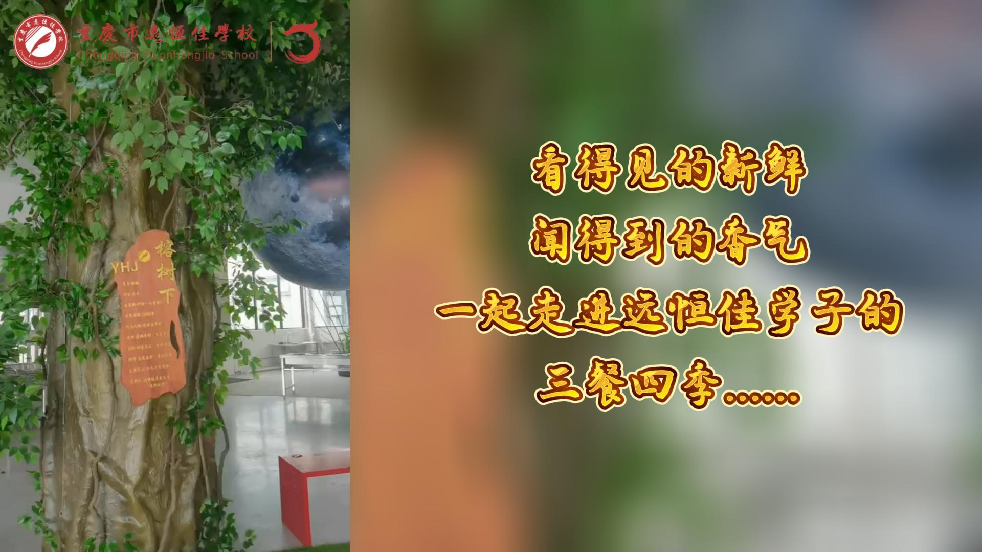 美好學(xué)校|看得見的新鮮，聞得到的香味，一起走進(jìn)遠(yuǎn)恒佳學(xué)子的三餐四季!